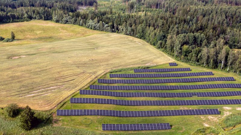 Solar panels arranged in a field next to a forest.