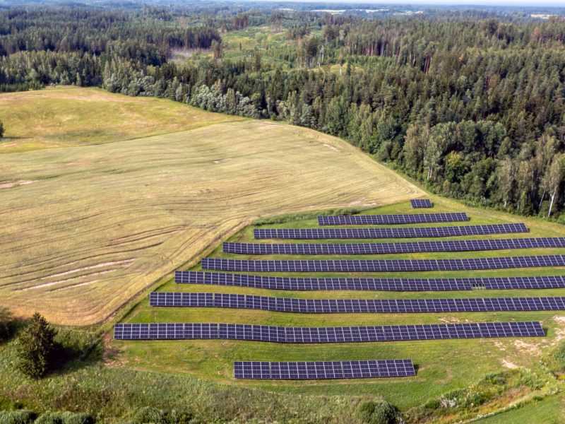Solar panels arranged in a field next to a forest.