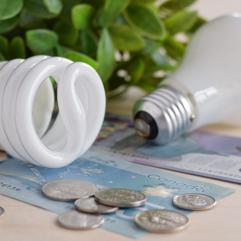 Different types of light bulbs with canadian dollars money and coins, energy efficiency concept